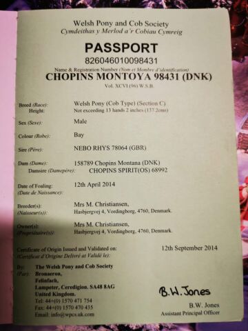 Billede