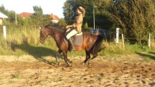 Billede