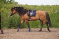 Billede
