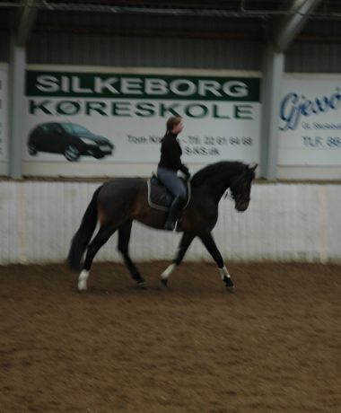 Billede