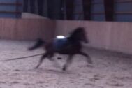 Billede