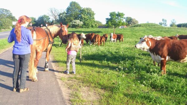 Billede