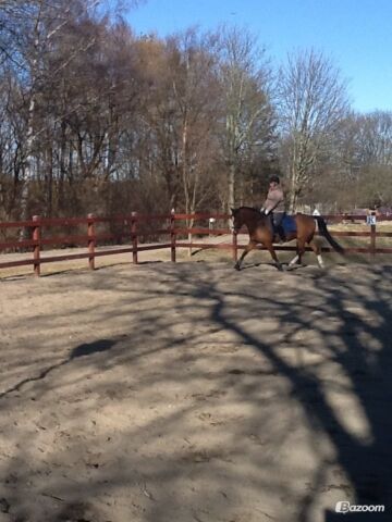Billede