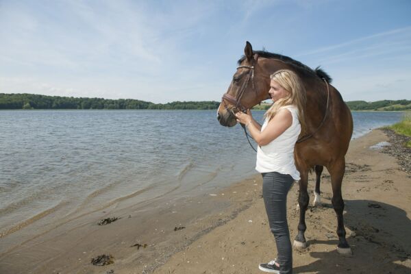 Billede