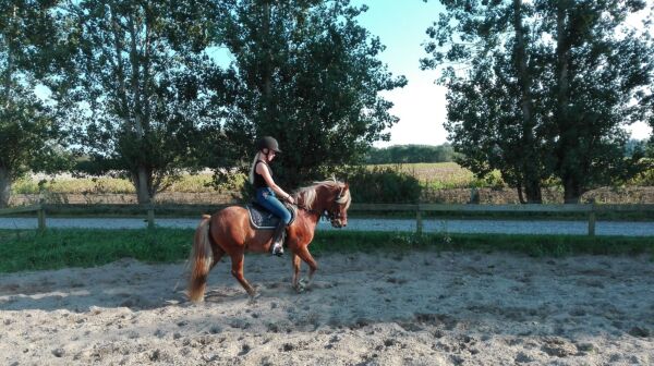 Billede