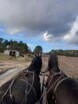 Billede