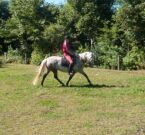 Billede