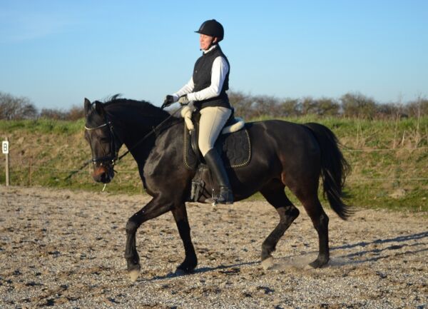 Billede