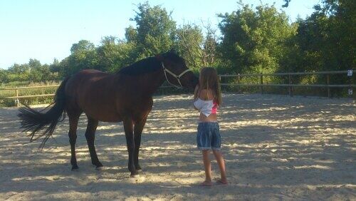 Billede