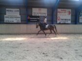 Billede