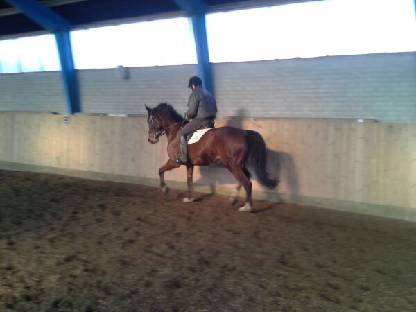 Billede