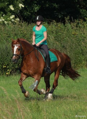Billede