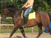 Billede