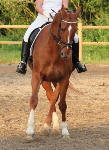 Billede