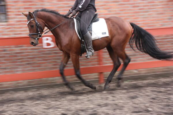 Billede