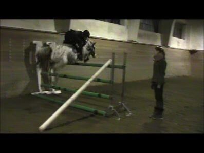 Billede
