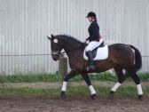 Billede