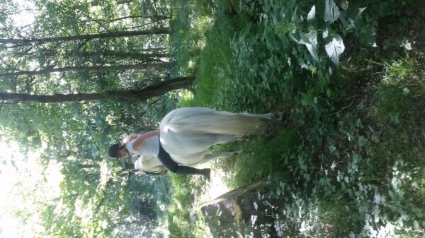 Billede