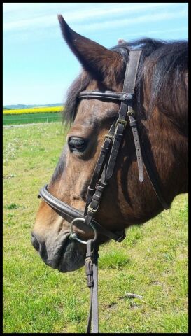 Billede