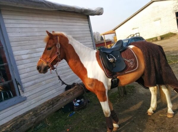 Billede