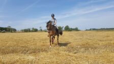 Billede