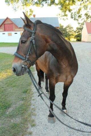 Billede