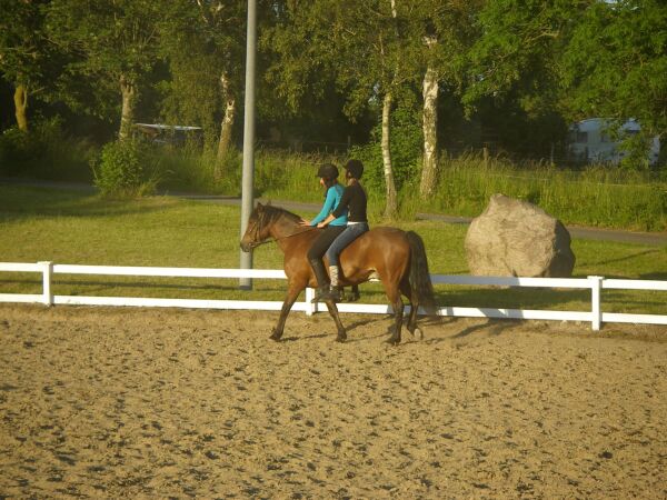 Billede
