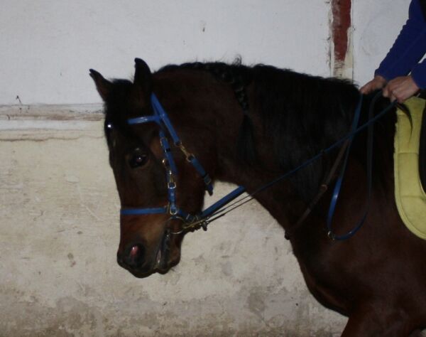 Billede