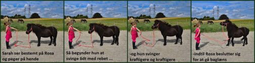 Billede