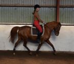 Billede