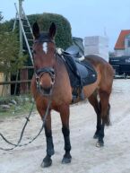 Billede