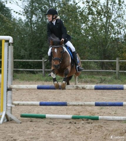 Billede