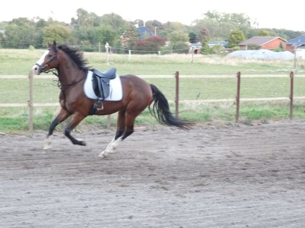 Billede