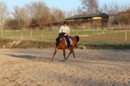 Billede