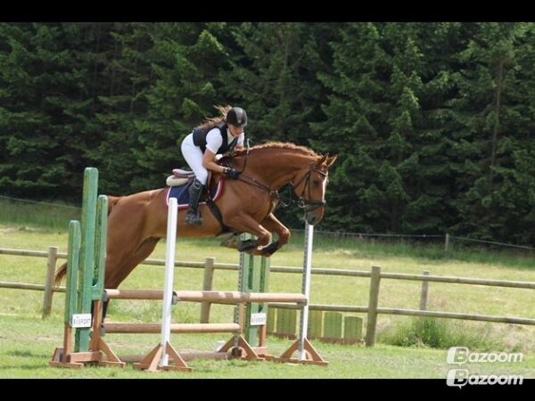 Billede