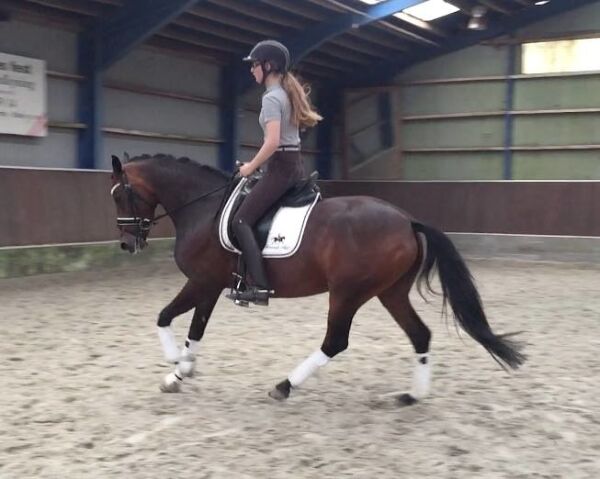 Billede