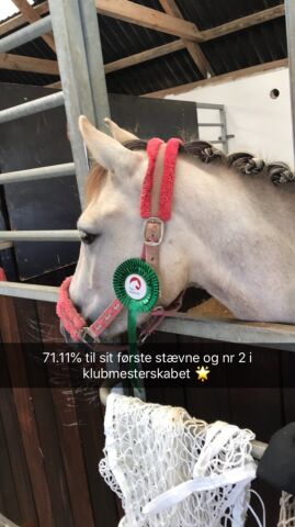 Billede
