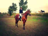 Billede