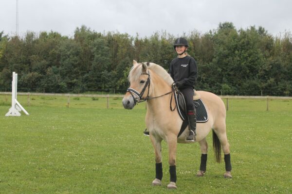 Billede