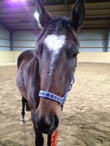 Billede