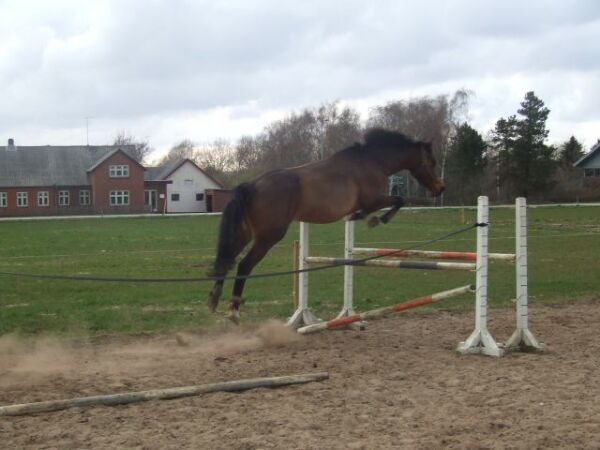 Billede