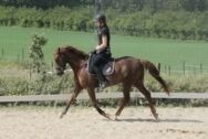 Billede