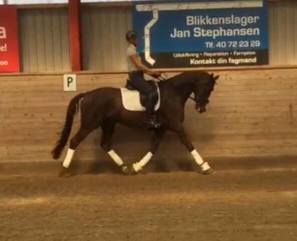 Billede