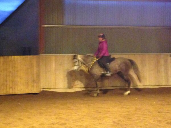 Billede