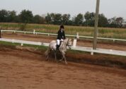 Billede