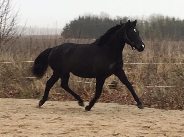 Billede
