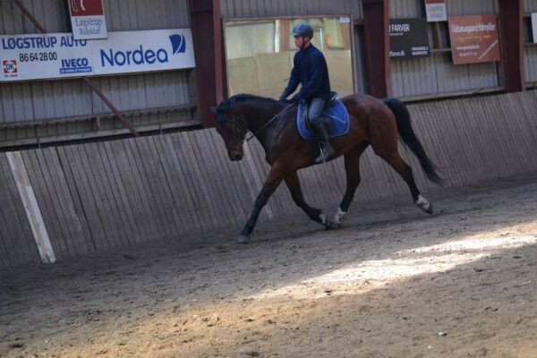 Billede