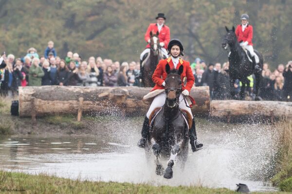 Billede