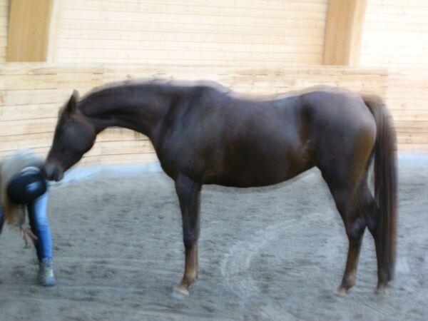 Billede