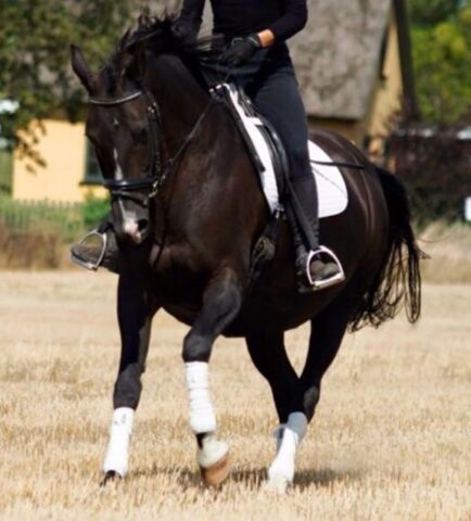Billede